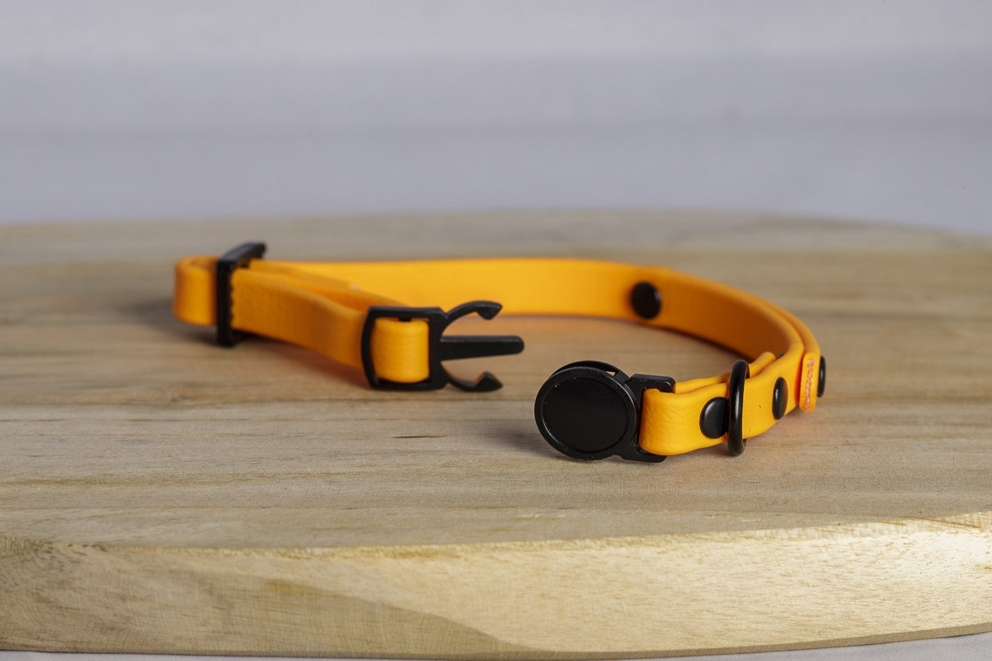 Collier BIOTHANE pour Chat (BiColore ou non) personnalisé - 9mm