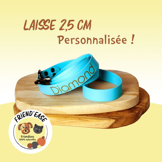 Laisse BIOTHANE personnalisée - 25mm