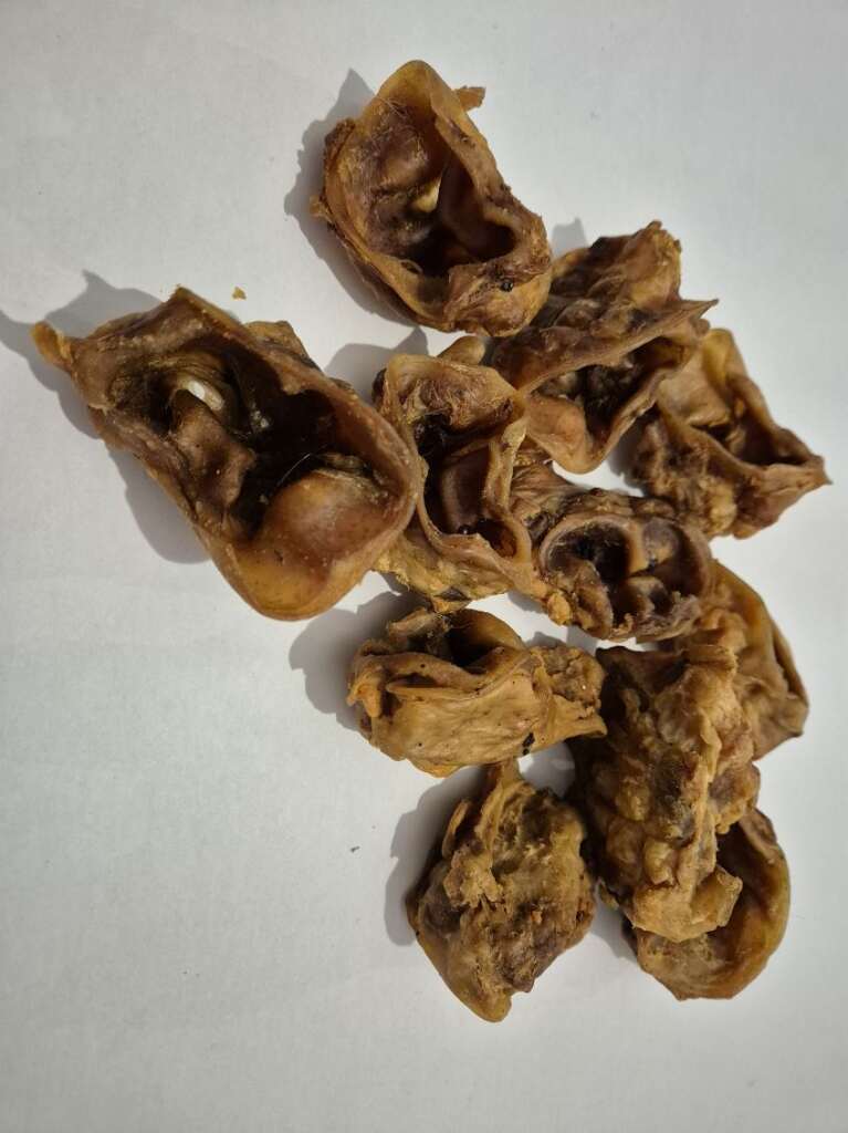 Pavillon de Porc Naturel pour Chien ( Sachet de 100 gr )