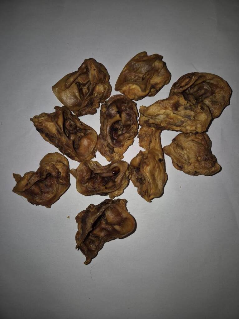 Pavillon de Porc Naturel pour Chien ( Sachet de 100 gr )