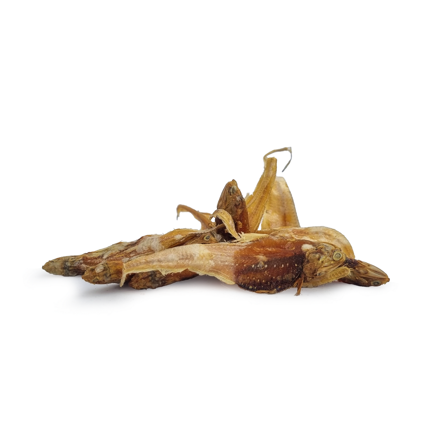 🐟 Anchois dorés séchés