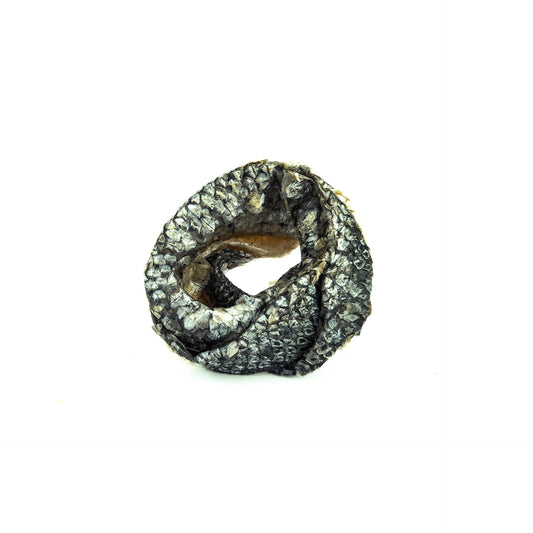 Donuts – 100 % peau de saumon séchée