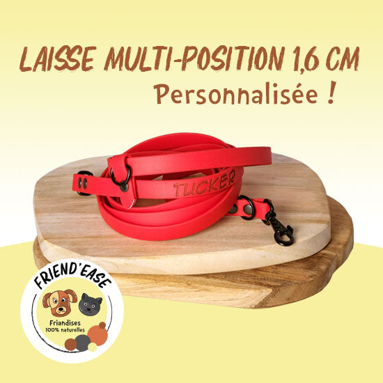 Laisse BIOTHANE multiposition personnalisée - 16mm