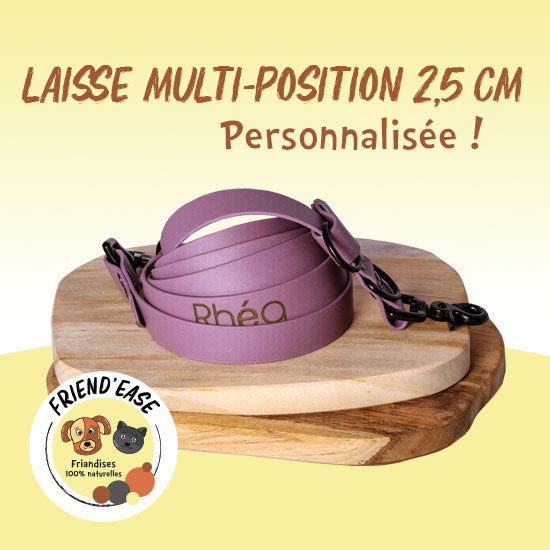 Laisse BIOTHANE multiposition personnalisée - 25mm